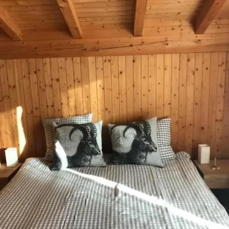 Toggi Prázdninový dům Wildhaus